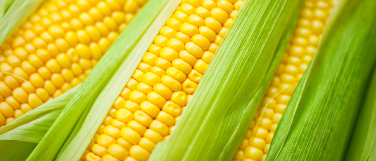 Recipe: Sweet corn and radicchio salad